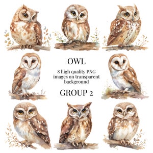 Búho Clipart / PNG transparente de alta calidad / Ilustración de acuarela / Artesanías, Aves, Naturaleza, Vida Silvestre, Clip Art / Descarga digital instantánea