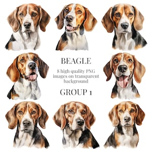 Beagle Clipart / PNG transparente de alta calidad / Ilustración de perro de caza de acuarela / Manualidades de papel imprimibles DIY / Descarga digital instantánea