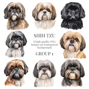 Clipart Shih Tzu | PNG transparents de haute qualité | Illustration de chien à l'aquarelle | art mural, créations en papier imprimable, | Téléchargement numérique instantané