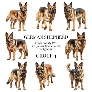 May include: Eight high-quality digital images of German Shepherd dogs in various poses. The images are on a transparent background. The text "GERMAN SHEPHERD" and "GROUP 3" is displayed below the images.