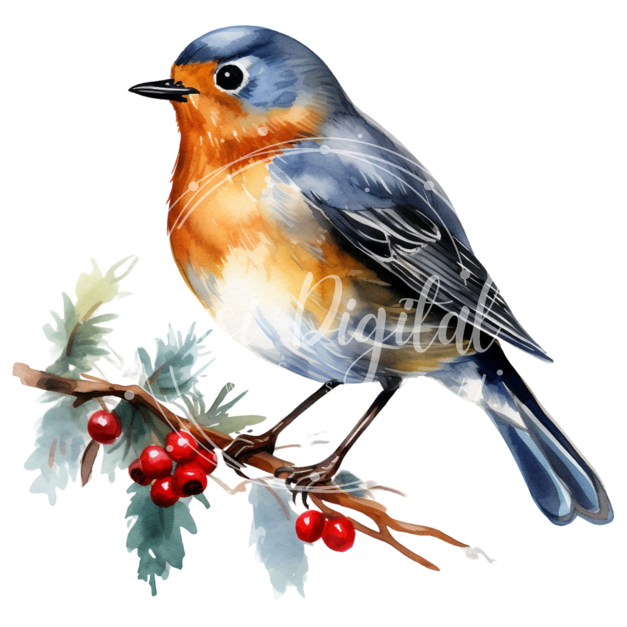 Christmas Robin Clipart | High-quality Transparent PNG | Watercolor ...