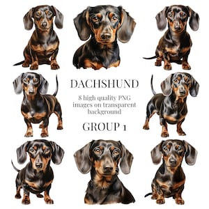 Dackel Clipart | Transparentes PNG | Aquarell Hund Illustration | Kunsthandwerk, Designs, Papier Basteln, DIY, Wurst Hund | Digitaler Download