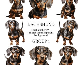 Dachshund Clipart | Transparent PNG | Watercolor Dog Illustration | Crafts, Designs, Paper Crafting, DIY, Sausage Dog | Digital Download