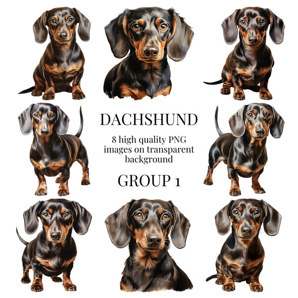 Dachshund Clipart | Transparent PNG | Watercolor Dog Illustration | Crafts, Designs, Paper Crafting, DIY, Sausage Dog | Digital Download