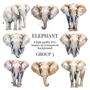 Elefante Clipart | PNG transparente de alta qualidade | Ilustração em aquarela | Reserva de sucata, artesanato em papel para impressão | Download Digital Instantâneo