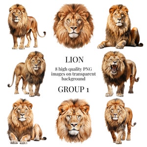 Lion Clipart | High-Quality Transparent PNG | Watercolor Big Cat Illustration | Card Making, DIY Crafting, Jungle | Instant Digital Download