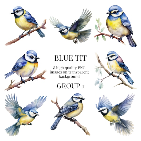 Blue-tit Clipart | High-Quality Transparent PNG | Watercolor Illustration | Crafts, Birds, Nature, Wildlife, DIY | Instant Digital Download