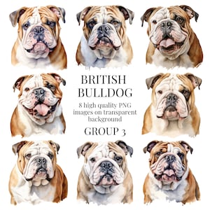 Bulldogge Clipart | Hochwertiges transparentes PNG | Aquarell Illustration | Hund Bilder, Papier basteln | Sofortiger digitaler Download