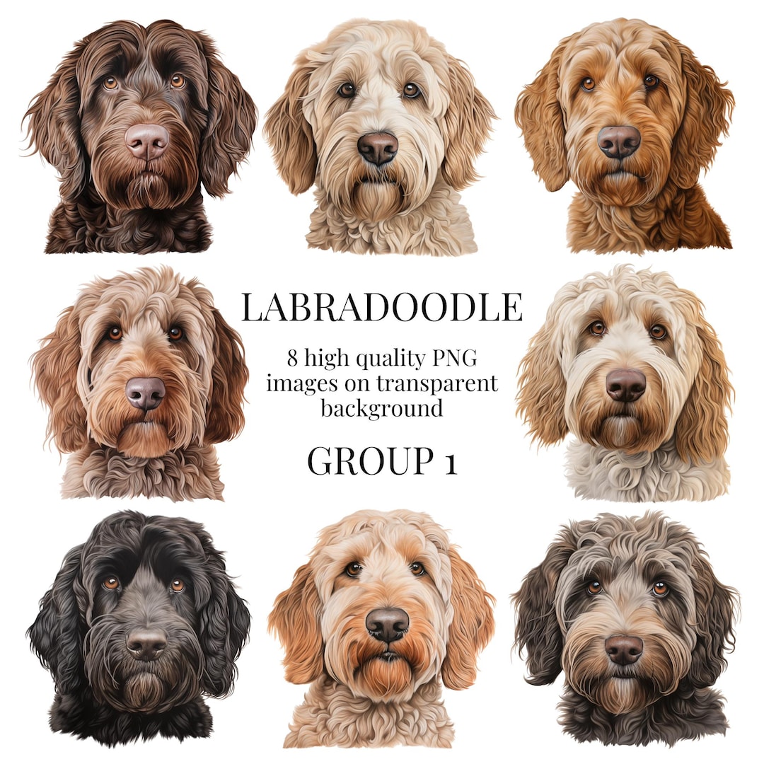 Labradoodle Clipart | High-quality Transparent PNG | Watercolor Dog ...