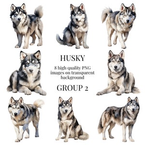Husky Clipart | High-Quality Transparent PNG | Watercolor Dog Illustration | DIY Printable Paper Crafts, Pet Art | Instant Digital Download