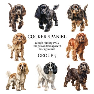 Cocker-spaniël clipart | Hoogwaardige transparante PNG | Aquarel hond illustratie | Dierenontwerpen, Papierbewerking | Direct digitaal downloaden