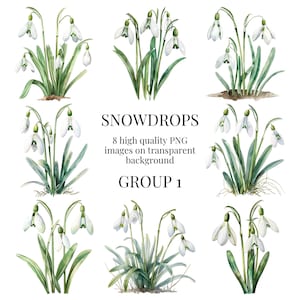 Clipart de perce-neige | PNG transparents | Illustration aquarelle de haute qualité | créations florales printanières, créations artistiques de Pâques DIY | Téléchargement numérique instantané