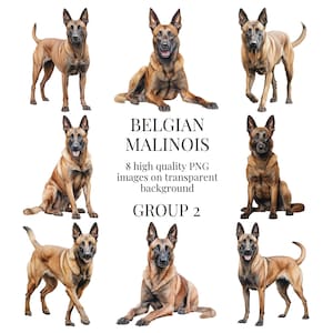 Belgischer Malinois Clipart | Hochwertiges transparentes PNG | Aquarell Hund Illustration | Druckbare Handwerk Designs | Sofortiger digitaler Download