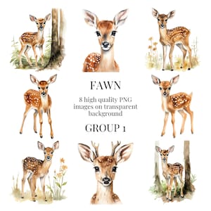 Fawn clipart | Hoogwaardige transparante PNG | Aquarel herten illustratie | Knutselen, kaarten maken, bos, natuur | Direct digitaal downloaden