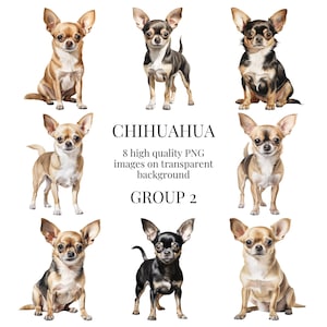 Chihuahua Clipart | Hochwertiges transparentes PNG | Aquarell Hund Illustration | Handgemachte bedruckbare Papierkunst | Sofortiger digitaler Download