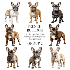 Clipart de Bulldog Francês | PNG transparente de alta qualidade | Ilustração em aquarela | Cães Frenchie, Artesanato em Papel | Download Digital Instantâneo
