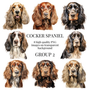 Cocker Spaniel Clipart | Hochwertiges transparentes PNG | Aquarell Hund Illustration | Haustier Designs, Papier Basteln | Sofortiger digitaler Download