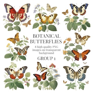 Botanical Butterflies Clipart | High-Quality Transparent PNG | Watercolor Illustration | Printable Paper Crafts | Instant Digital Download