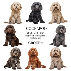 Clipart de Cockapoo / PNG transparente de alta calidad / Ilustración de acuarela / Cachorro de mascota, Manualidades de papel imprimibles / Descarga digital instantánea