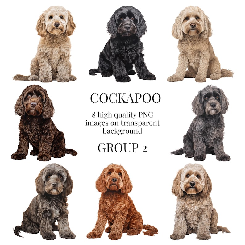 Cockapoo Clipart | High-quality Transparent PNG | Watercolor ...