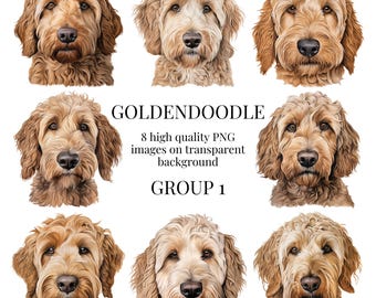 Goldendoodle Clipart | High-Quality Transparent PNG | Watercolor Dog Illustration | DIY Printable Paper Crafting | Instant Digital Download