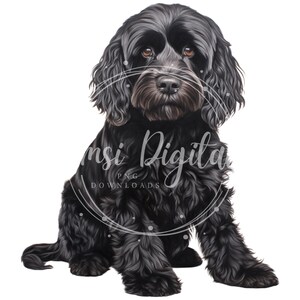 Cockapoo Clipart | High-quality Transparent PNG | Watercolor ...