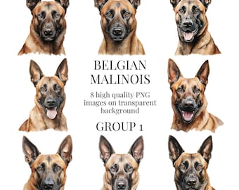 Belgische Mechelaar-afbeeldingen | Hoogwaardige transparante png | Aquarel hond illustratie | Afdrukbare ambachtelijke ontwerpen | Directe digitale download