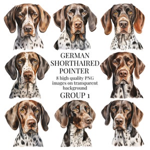 Può includere: Otto illustrazioni ad acquerello di Bracco tedesco a pelo corto, ciascuna con una diversa posa della testa. I cani sono marroni e bianchi con macchie nere. Il testo "GERMAN SHORTHAIRED POINTER" è in testo nero con le parole "8 immagini PNG di alta qualità su sfondo trasparente" e "GROUP 1" in testo più piccolo sotto.