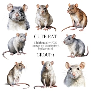 Uroczy szczur Clipart | Wysokiej jakości przezroczysty PNG | Ilustracja gryzonia akwarelowego | Tworzenie kartek, Rękodzieło papierowe, Zwierzak | Natychmiastowe pobieranie cyfrowe