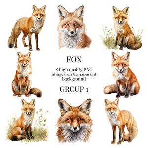Fox Clipart / PNG transparente / Ilustración de acuarela de alta calidad / Manualidades, Fabricación de tarjetas, BRICOLAJE, Bosque, Naturaleza / Descarga digital instantánea