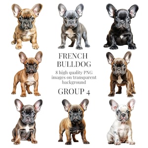 Clipart de filhote de buldogue francês | PNG transparente de alta qualidade | Ilustração em aquarela | Frenchie, artesanato em papel | Download Digital Instantâneo