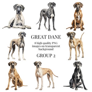 Great Dane Clipart | High-Quality Transparent PNG | Watercolor Illustration | Dog Designs, Digital Paper Crafting | Instant Digital Download