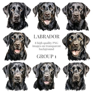 Schwarzer Labrador Clipart | Hochwertiges transparentes PNG | Aquarell Hund Illustration | DIY Druckbare Papier Handwerk | Sofortiger digitaler Download