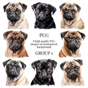 Mops Clipart | Hochwertiges transparentes PNG | Aquarell Hund Illustration | Druckbares Papier Basteln, Wandkunst | Sofortiger digitaler Download