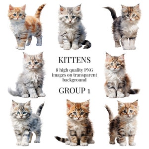 Kitten Clipart | High-Quality Transparent PNG | Watercolor Cat Illustration | Animal Paper crafts, Commercial Use | Instant Digital Download