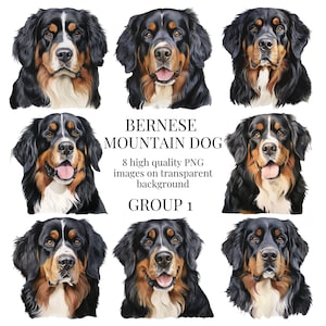 Berner Sennenhund Clipart | Hochwertiges transparentes PNG | Aquarell Illustration | DIY Printable Paper Craft | Sofortiger digitaler Download