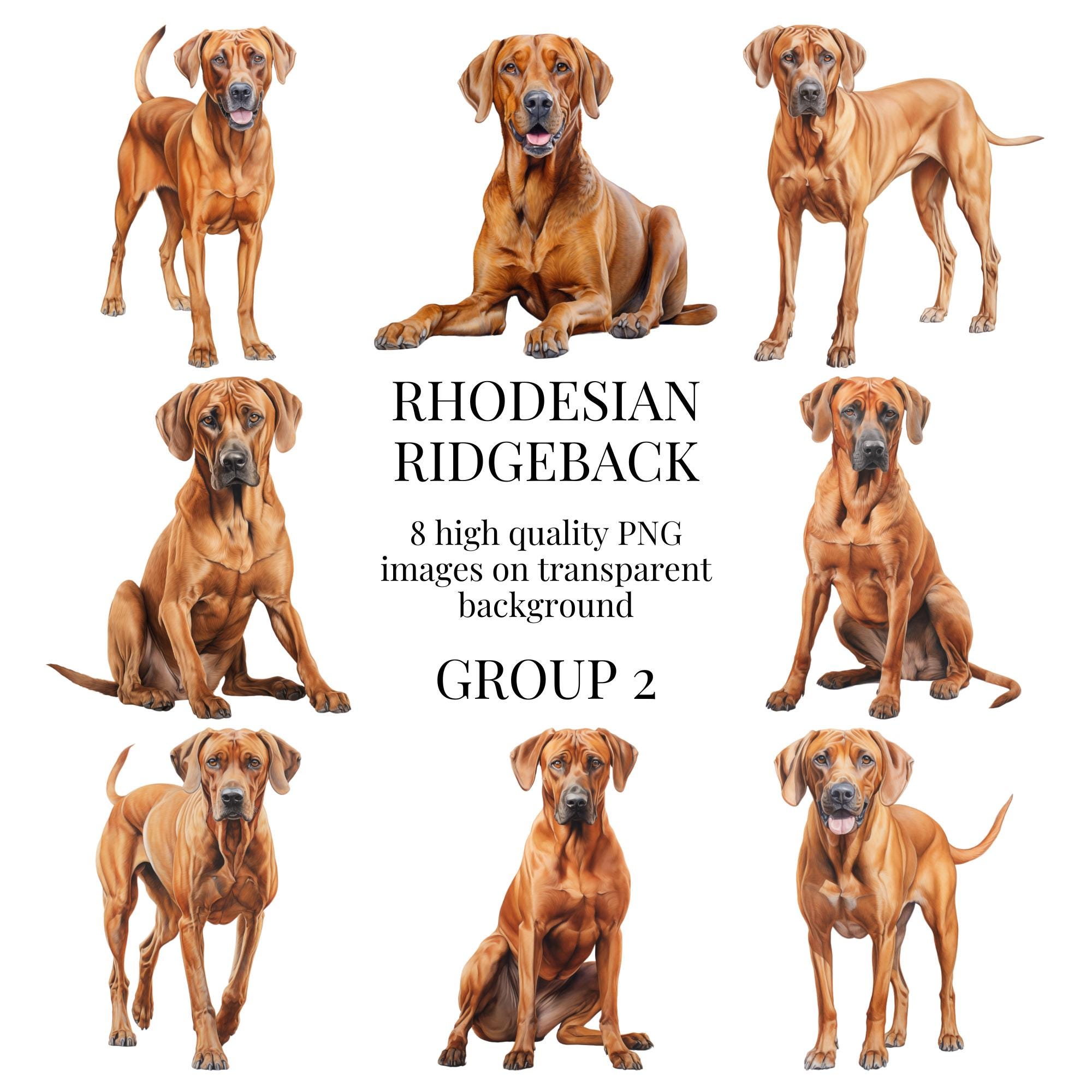 Buy Ridgeback Dog Collar Online In India India