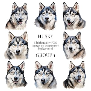 Husky Clipart | High-Quality Transparent PNG | Watercolor Dog Illustration | DIY Printable Paper Crafts, Pet Art | Instant Digital Download