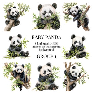 Clipart de panda gigante | PNG transparente de alta qualidade | Ilustração de urso aquarela | Artesanato em papel faça você mesmo, arte em bambu | Download Digital Instantâneo