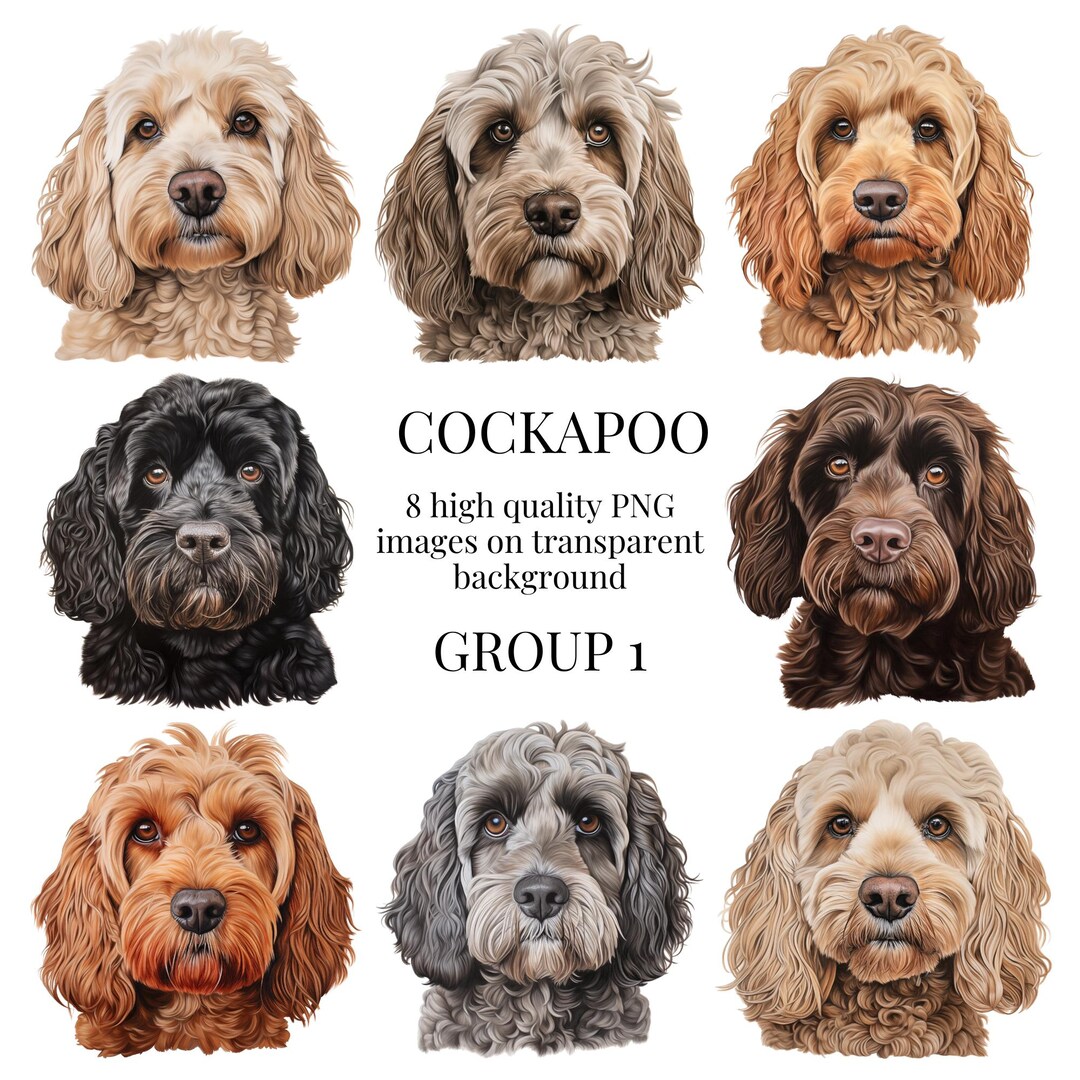 Cockapoo Clipart | High-quality Transparent PNG | Watercolor Pet Dog ...