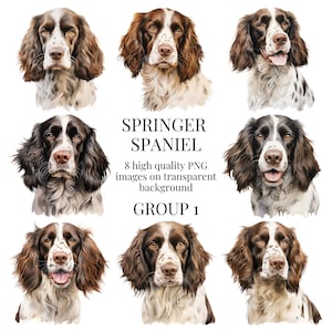 Clipart springerspaniël | Hoogwaardige transparante png | Aquarel hond illustratie | Knutselen met afdrukbaar papier | Directe digitale download