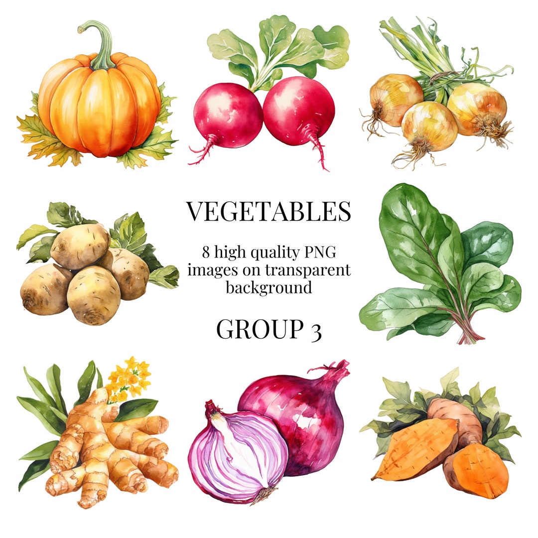 Vegetable Clipart Transparent PNG High-quality Watercolor - Etsy