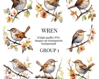 Wren Bird Clipart | High-Quality Transparent PNG | Watercolor Illustration | Crafts, Birds, Nature, Wildlife, DIY | Instant Digital Download