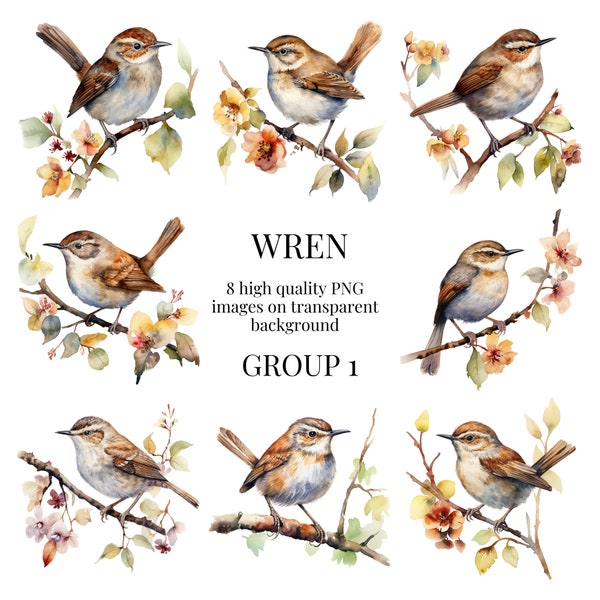 Wren Bird Clipart | High-Quality Transparent PNG | Watercolor Illustration | Crafts, Birds, Nature, Wildlife, DIY | Instant Digital Download