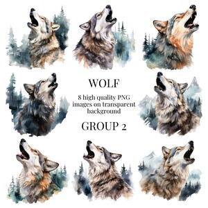 Clipart loup | PNG transparents de haute qualité | Illustration aquarelle | de dessins animés Forêt, travaux manuels créatifs en papier, fabrication de cartes | Téléchargement numérique instantané
