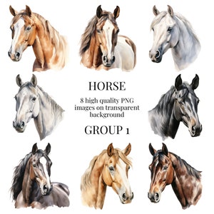 Clipart cheval | PNG transparents de haute qualité | Illustration équestre à l'aquarelle | Artisanat en papier imprimable DIY | Téléchargement numérique instantané
