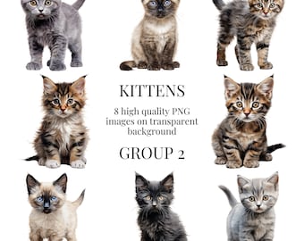 Kitten Clipart | High-Quality Transparent PNG | Watercolor Cat Illustration | Animal Paper crafts, Commercial Use | Instant Digital Download