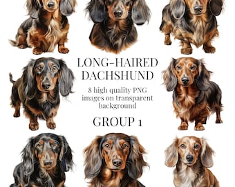 Long Haired Dachshund Clipart | High-Quality Transparent PNG | Watercolor Illustration | Sausage Dog Designs | Instant Digital Download