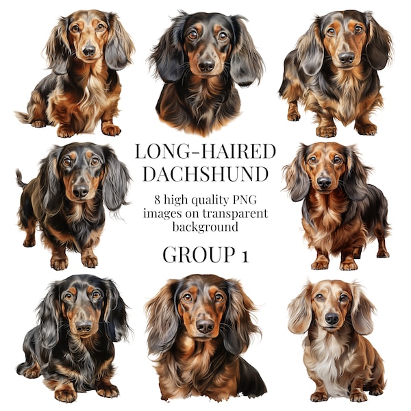 Long Haired Dachshund Clipart | High-Quality Transparent PNG | Watercolor Illustration | Sausage Dog Designs | Instant Digital Download