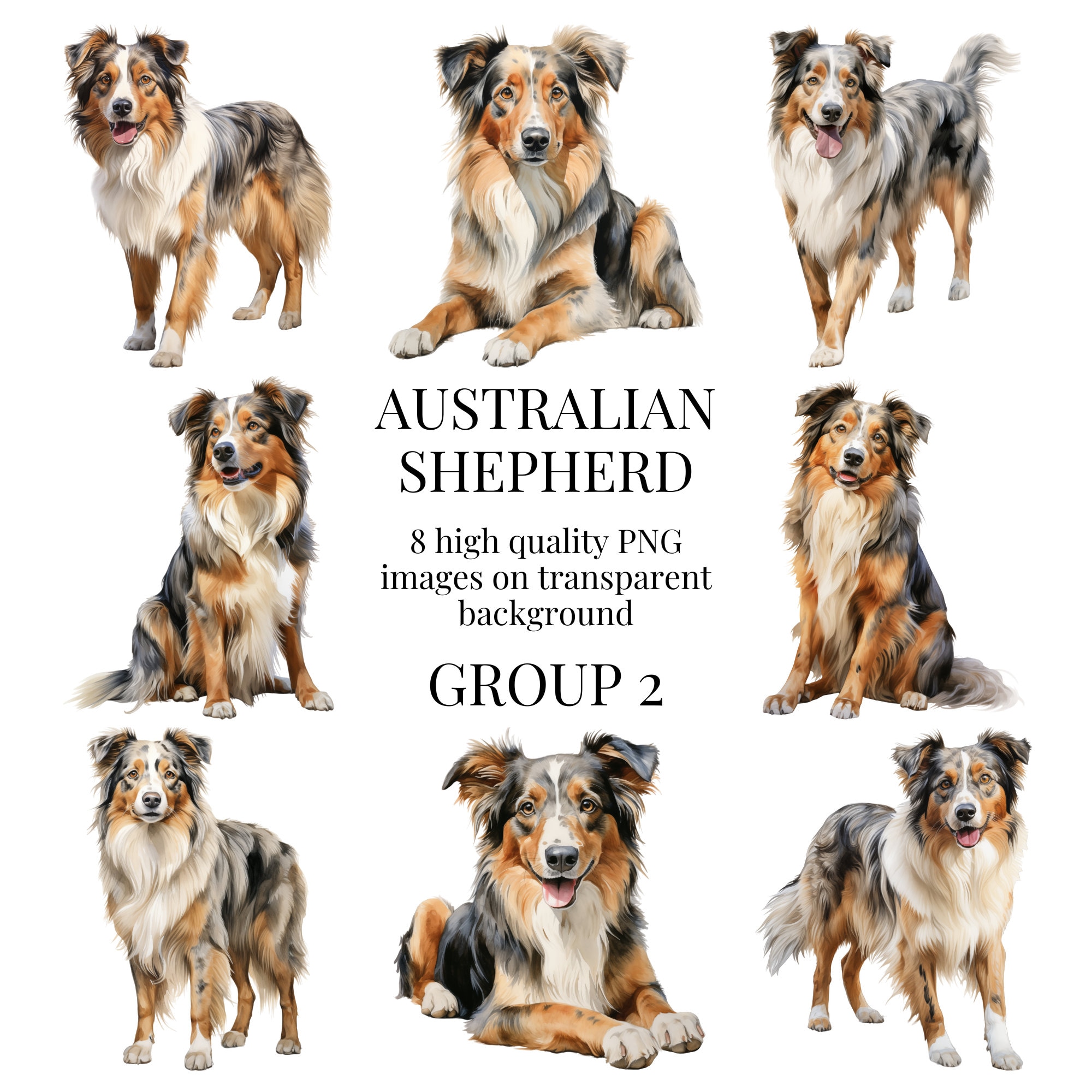 Australian Shepherd Clipart High-quality Transparent PNG Watercolor ...